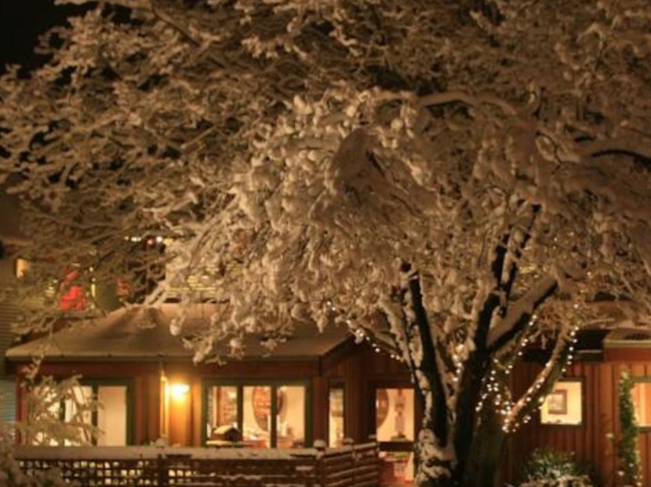 Te Wanaka Lodge Exterior foto